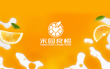 某良橙——巢湖LOGO设计