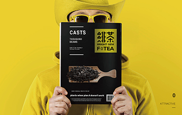 巢湖绯茶品牌设计